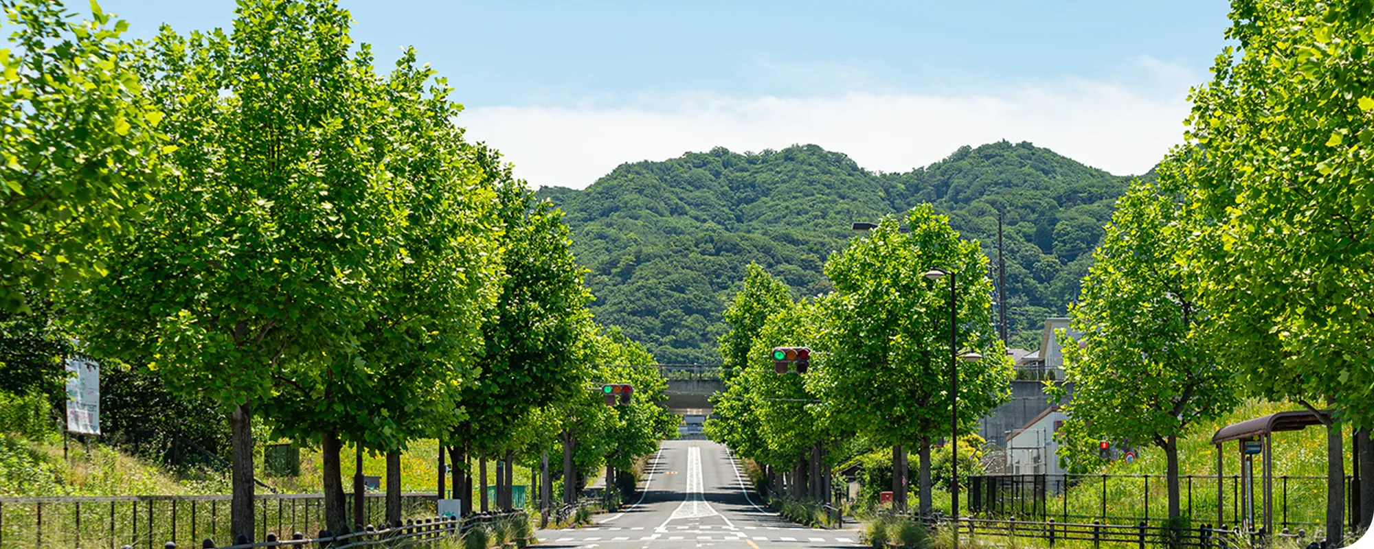 現地周辺の街並み（箱作駅前線）