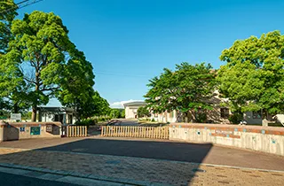 市立桃の木台小学校