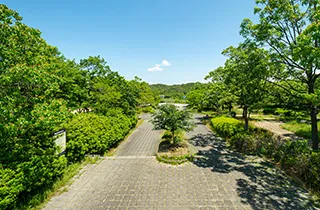 桃の木台中央公園