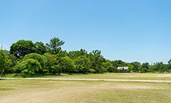 せんなん里海公園